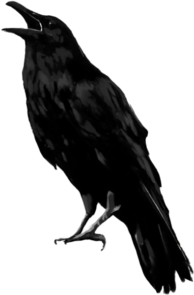 File:Raven.png
